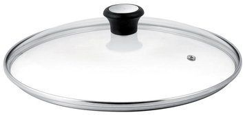 Крышка Tefal, 24см, стекло, нержавеющая сталь, бакелит, прозрачный 28097512 фото